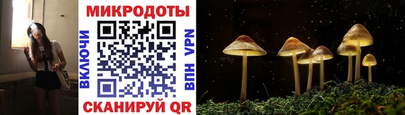 Галлюциногенные грибы Cubensis продажа наркотиков Оса