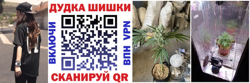 Канабис Amnesia  Оса 